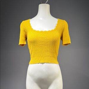 Vibrant Yellow Ribbed Crop Top (rack2)